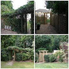 trellis-fence